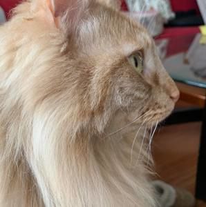 Meet your Posher, Hui